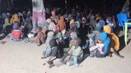 Nigeriyada "Boko Haram" terrorçularının qaçırdığı 360 girov azad edilib