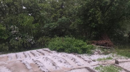 Şahbuza dolu YAĞDI