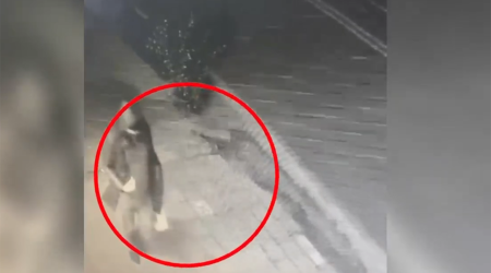 70 minlik qızıl oğurladığı evin sahibinin gödəkçəsini geyinib qaçdı - Video