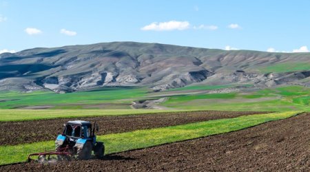 Kənd təsərrüfatı torpaqları ilə bağlı yeni mexanizm TƏTBİQ OLUNACAQ &ndash; RƏSMİ