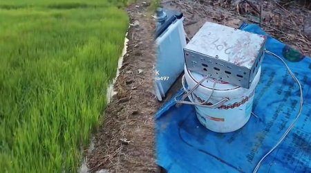 Zaqatala deyil, Kambocadır...&ndash; Video