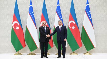 Əli Əsədov Özbəkistan Prezidenti ilə görüşdü &ndash; FOTO