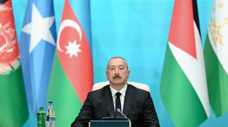 Dövlət başçısı: “İqtisadi inkişafımızla bağlı hər hansı çətinliklər gözləmirik” - VİDEO