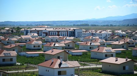 Onlar da doğma yurda qayıdırlar