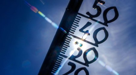 Almaniyada ən yüksək temperatur qeydə alındı: 41,7 dərəcə
