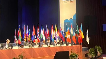 ATƏT-in sessiyasında Azərbaycanın Rəqəmsal İnkişaf Şurasının fəaliyyəti barədə məlumat verildi - FOTO