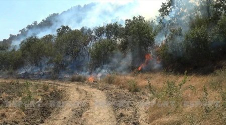 Ağdamın Kəngərli və Papravənd kəndlərindəki yanğınlar söndürüldü