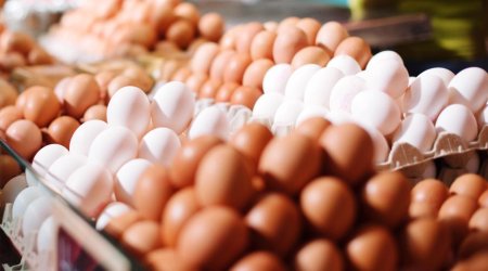 Yumurta UCUZLAŞACAQ &ndash; 1 qəpiyə SATILACAQ?