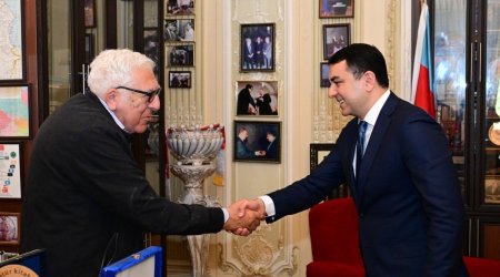 Mədəniyyət naziri Yazıçılar Birliyinin sədri Anarla görüşdü - FOTO