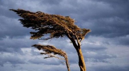 Küləkli hava şəraiti nə vaxta kimi davam edəcək?