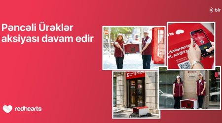 &ldquo;Pəncəli Ürəklər&rdquo; aksiyası çərçivəsində sahibsiz heyvanlar üçün yuvaların sayı 35-ə çatdı