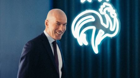 Zidan gəldi, Fransa millisinin loqosu dəyişdi - FOTO