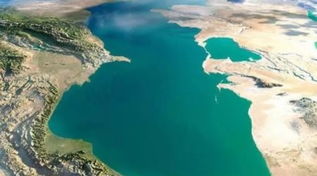 Xəzər dənizindəunikal TAPINTI:suyu təbii təmizləyir - FOTO