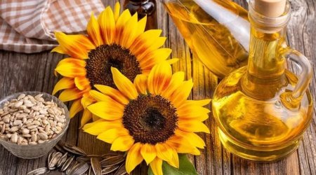 Zərəri vitaminindən çoxdur &ndash; Soyuq sıxım günəbaxan yağlarındakı GİZLİ TƏHLÜKƏ