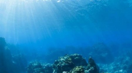 Dünya okeanları rekord səviyyədə isindi: Planeti nə gözləyir?