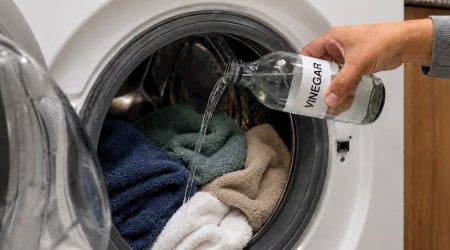 Paltaryuyan maşına niyə sirkə tökmək lazımdır?