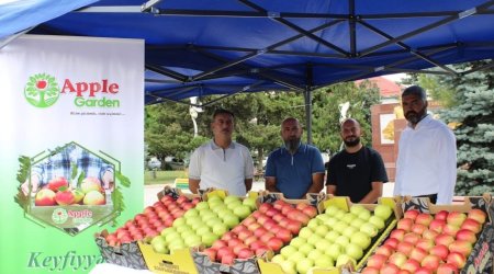 Qusar rayonunda &ldquo;Aqrar Biznes Festivalı&rdquo; və &ldquo;I İntensiv Meyvə Bağları Festivalı&rdquo; keçirilib - FOTO