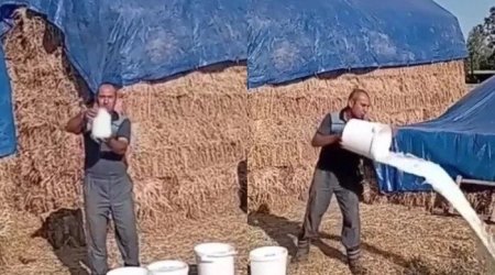 Yeni boykot üsulu: Satılmırsa, məhv et! &ndash; Şou, yoxsa haqq axtarışı?