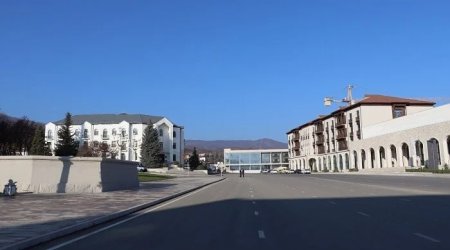 Xankəndidə toyuq hini ilə bağlı məsələyə - Rəsmi reaksiya