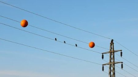 Elektrik xətlərinə bağlanan toplar nə üçündür?