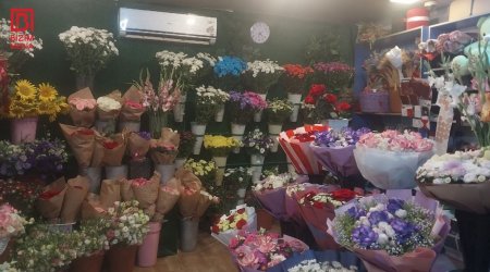 Güllər niyə əvvəlki kimi ətirli deyil? &ndash; Səbəbi BƏLLİ OLDU