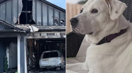 İt yanğını hiss edib sahiblərini oyatdı &ndash; FOTO