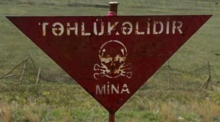 Vətən müharibəsindən sonra 438 nəfər mina qurbanı olub - Vüqar Süleymanov