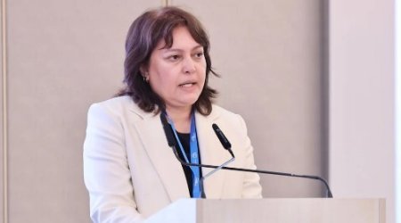 Umayra Tağıyeva: Azərbaycan iqlim riskləri ilə üzləşir