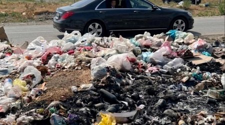 Gəncənin mərkəzi küçəsində zibillərin daşınmamasının günahkarı kimdir? &ndash; ARAŞDIRMA