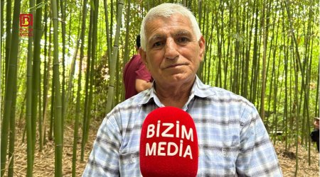 50 günə yetişdirdiyi ağacları biznesə çevirdi &ndash; Lənkəranlı fermerin bambuk &ldquo;meşəsi&rdquo; &ndash; FOTO