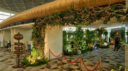 Bakı aeroportunda sərnişinlər üçün maraqlı əyləncə ZONASI &ndash; &ldquo;Tilsimli meşə&rdquo; - FOTO