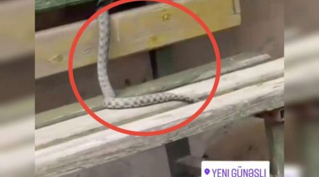 Yeni Günəşlidə ilan göründü &ndash; VİDEO