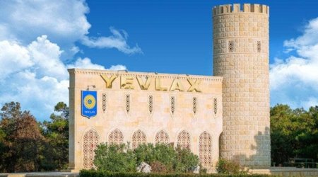 Yevlaxda 85 yaşlı qadın faciəvi şəkildə HƏYATINI İTİRDİ
