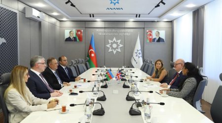 ANAMA rəsmisi Böyük Britaniyanın yeni səfiri ilə görüşdü - FOTO