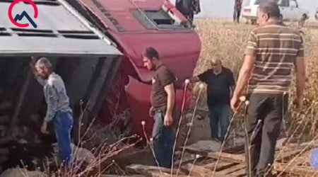 Sürücü yuxulayıb maşını aşırdı - Heyvanlar tələf oldu