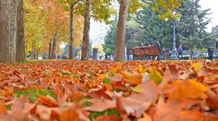 Oktyabrda hava necə olacaq? &ndash; AYLIQ PROQNOZ