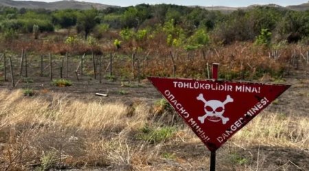 Ötən ay nə qədər ərazi minalardan təmizlənib?