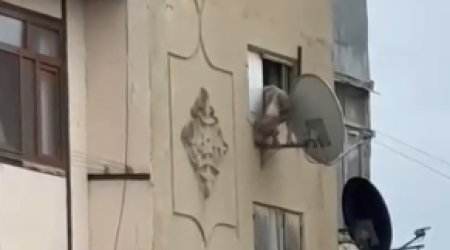 İti pəncərədən atan şəxs polis tərəfindən saxlanıldı - VİDEO
