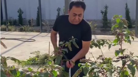 Elgiz bağ evini nümayiş etdirdi - (Video)