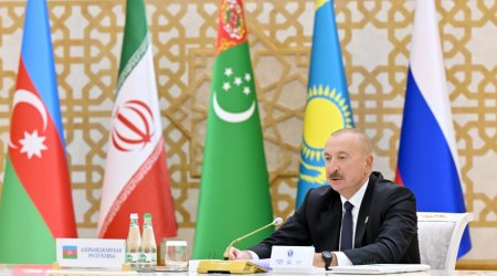 Prezident: &ldquo;Xəzərin nadir ekosisteminin qorunması bütün Xəzəryanı dövlətlərin ortaq vəzifəsidir&rdquo;