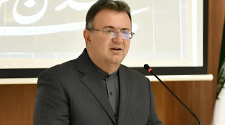 Küçə itləri İranın Gürcüstandakı səfirinə hücum etdilər &ndash; AYAĞI SINDI
