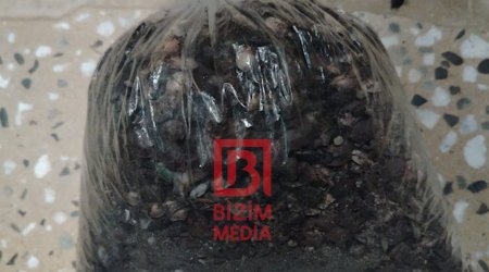 Dağıstanın Azərbaycanla həmsərhəd 5 rayonunda karantin elan edildi &ndash; FOTO