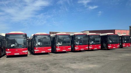 Bu avtobus marşrutlarını hansı şirkətlər işlədəcək? &ndash; RƏSMİ