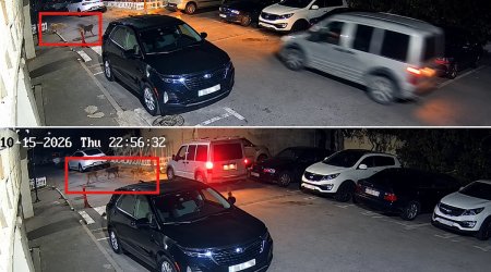 Bakıda küçə itləri sakinlərə hücum çəkdi &ndash; VİDEO