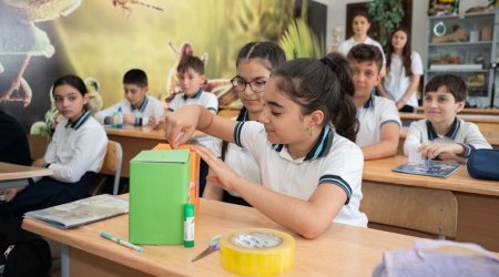 Psixotrop maddə qəbul edən şagird GÜNDƏMDƏ - Məktəblərdə psixoloji risklərə nəzarət varmı? &ndash; ARAŞDIRMA