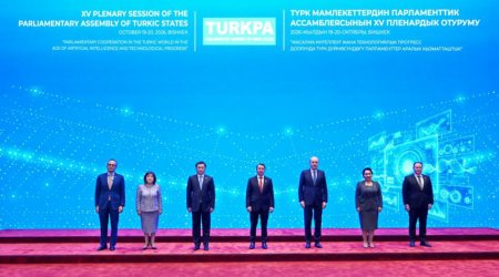 Sahibə Qafarova TÜRKPA-nın plenar iclasında çıxış etdi - FOTO
