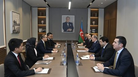 Azərbaycanla İndoneziya arasında siyasi məshələtləşmələr keçirildi &ndash; FOTO