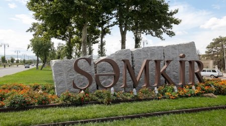 Şəmkirdə qonşular arasında dava qanla bitdi - 67 yaşlı kişi həyatını itirdi