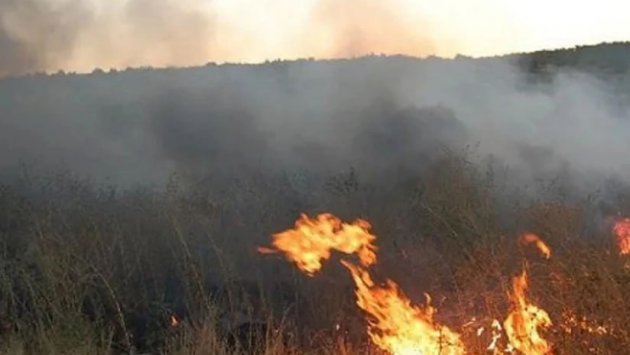 Qızılağac Milli Parkının ərazisi YANIR