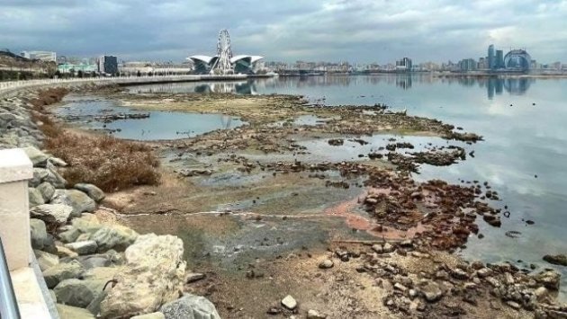 Xəzərin səviyyəsinin enməsi nə vaxtadək davam edəcək? – Rəsmi AÇIQLAMA